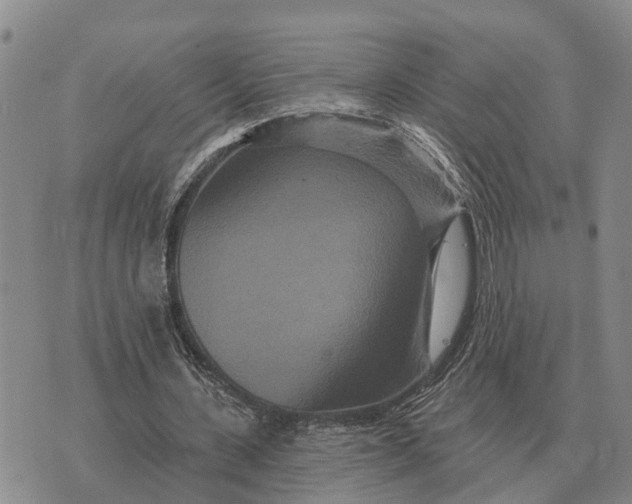 X0000072540531200608041625