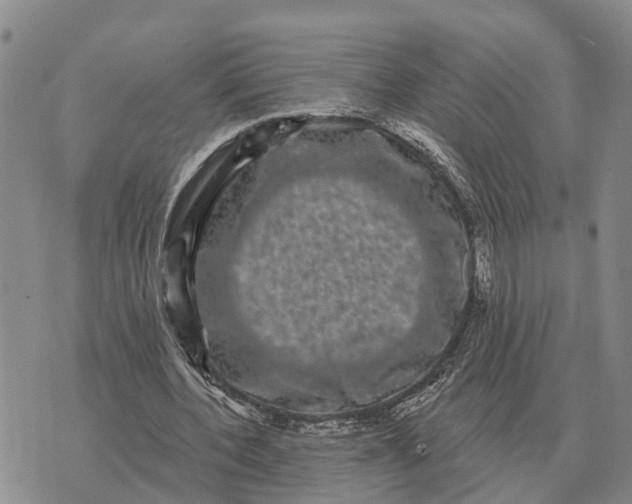 X0000072540532200608041625