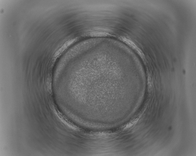 X0000072540533200608041625