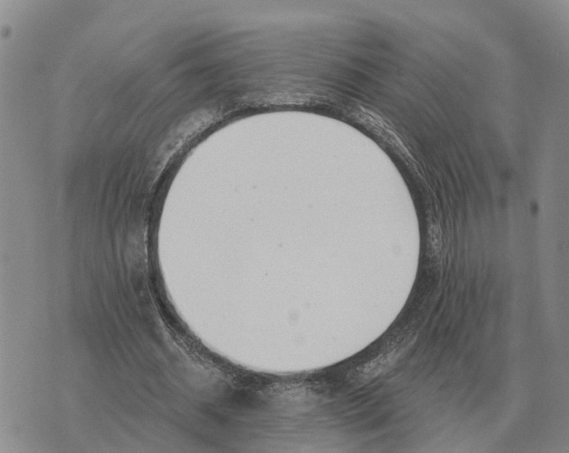 X0000072540534200608041625