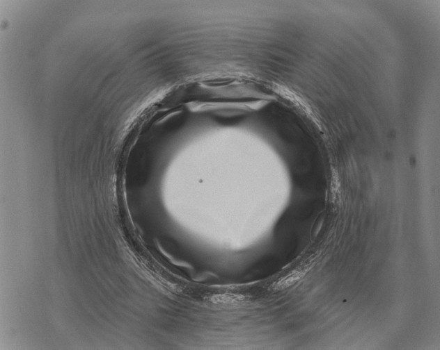 X0000072540535200608041625