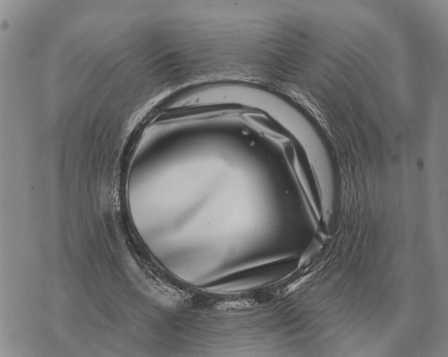 X0000072540536200608041625