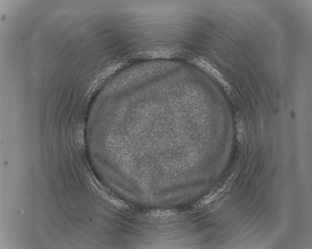 X0000072540537200608041625