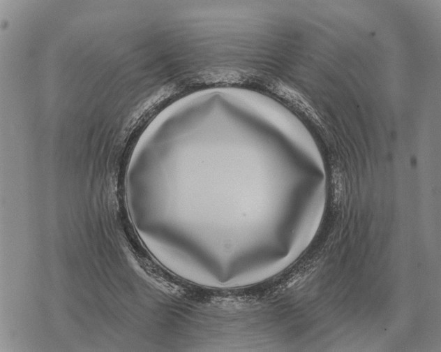 X0000072540538200608041625