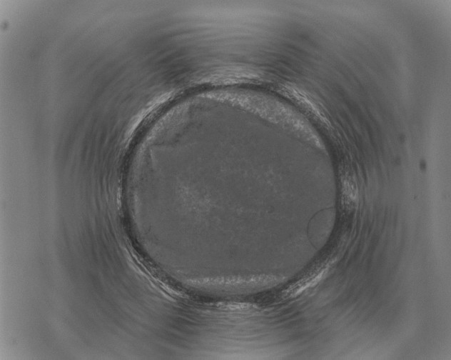 X0000072540539200608041625