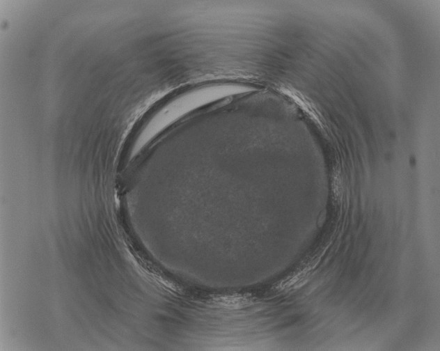 X0000072540540200608041625