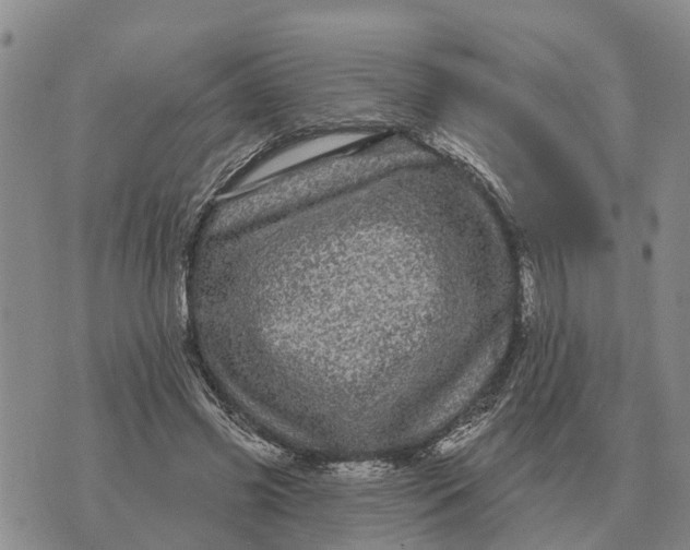 X0000072540541200608041625