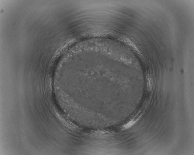 X0000072540542200608041625