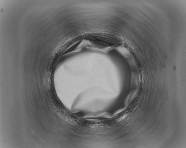 X0000072540544200608041625