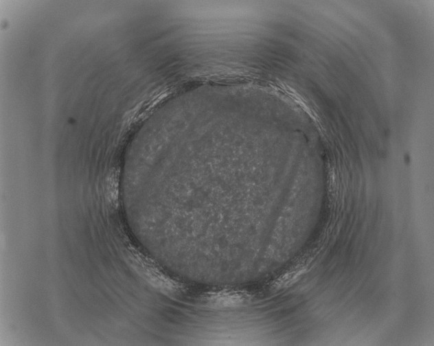 X0000072540545200608041625