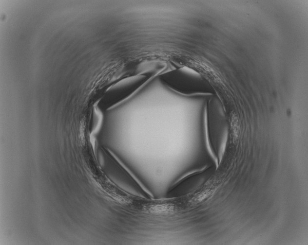 X0000072540546200608041625