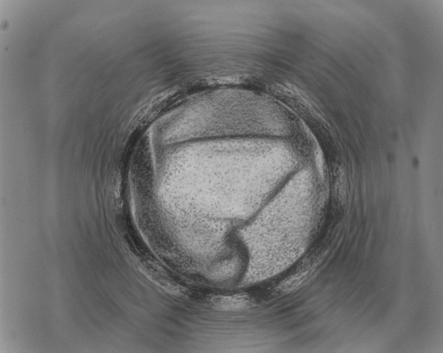 X0000072540548200608041625