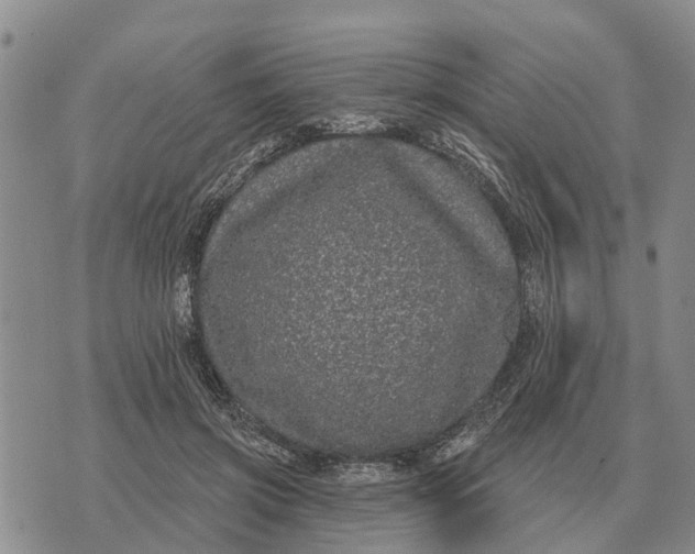 X0000072540549200608041625