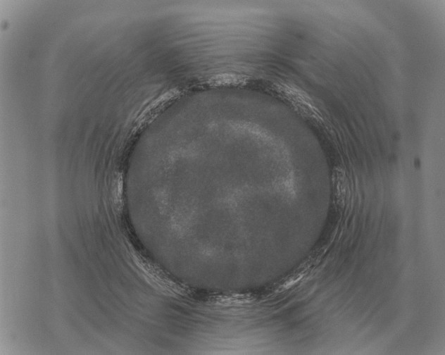 X0000072540550200608041625