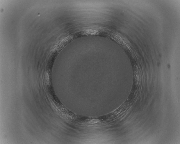 X0000072540551200608041625