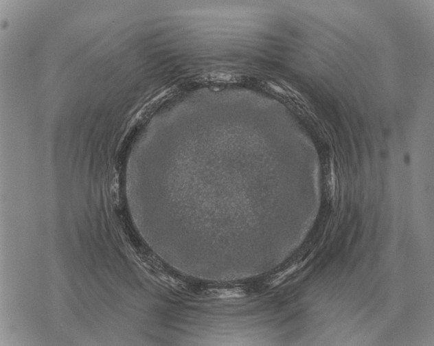 X0000072540552200608041625