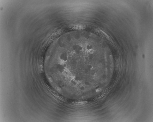 X0000072540553200608041625