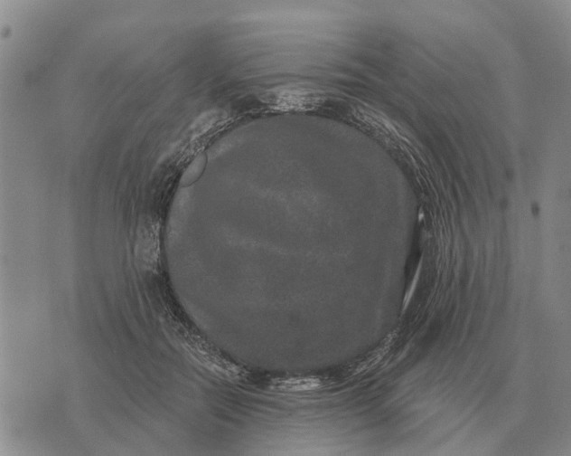 X0000072540554200608041625