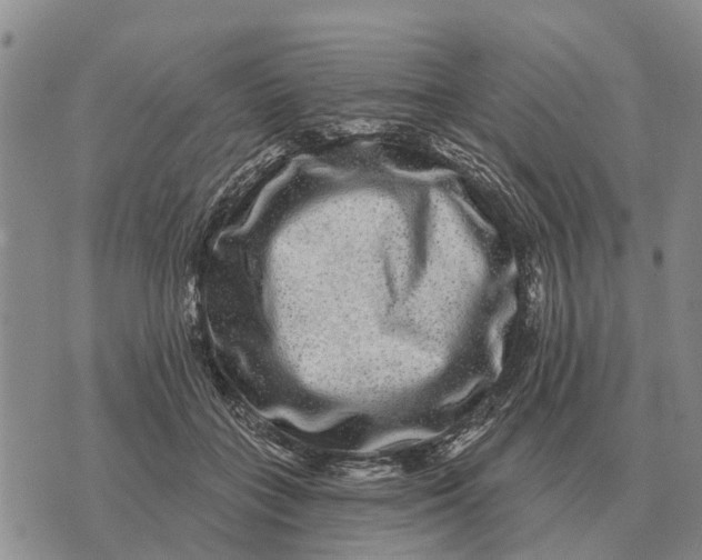 X0000072540555200608041625