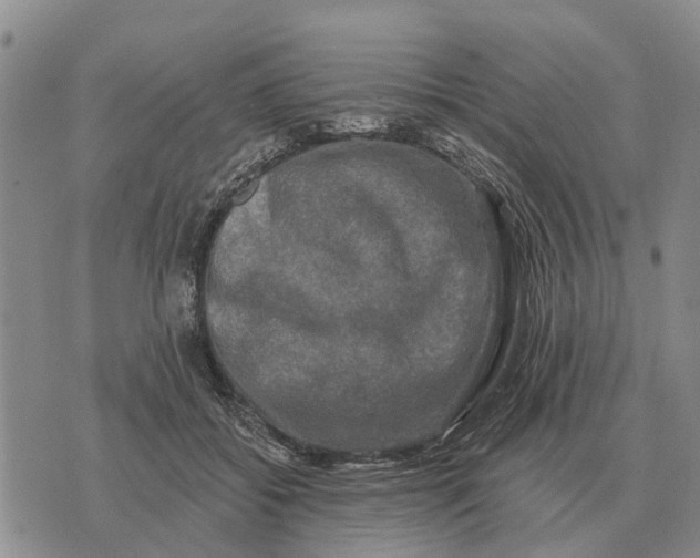 X0000072540556200608041625