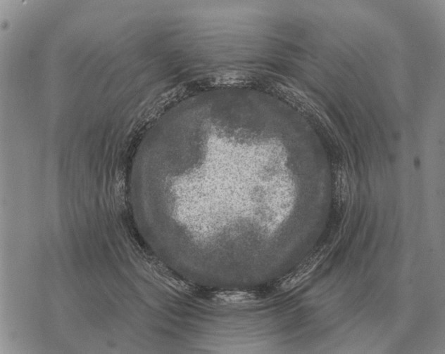 X0000072540557200608041625