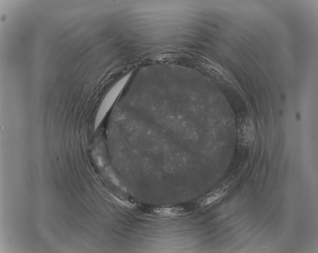 X0000072540558200608041625