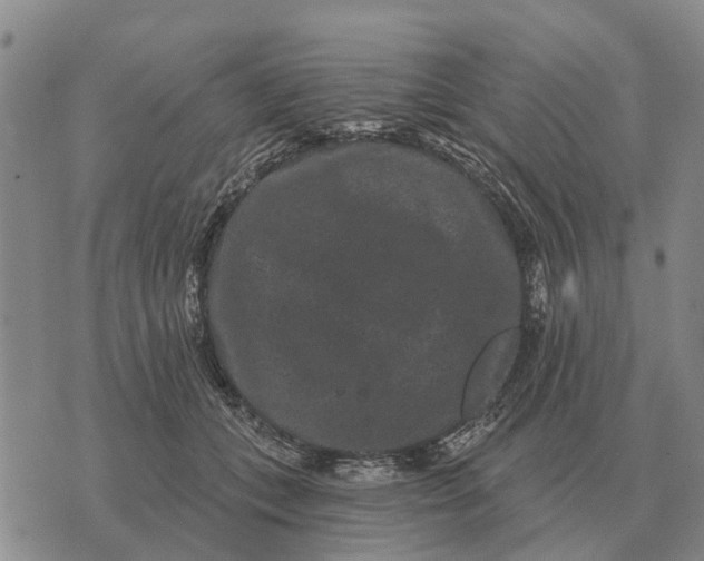 X0000072540559200608041625