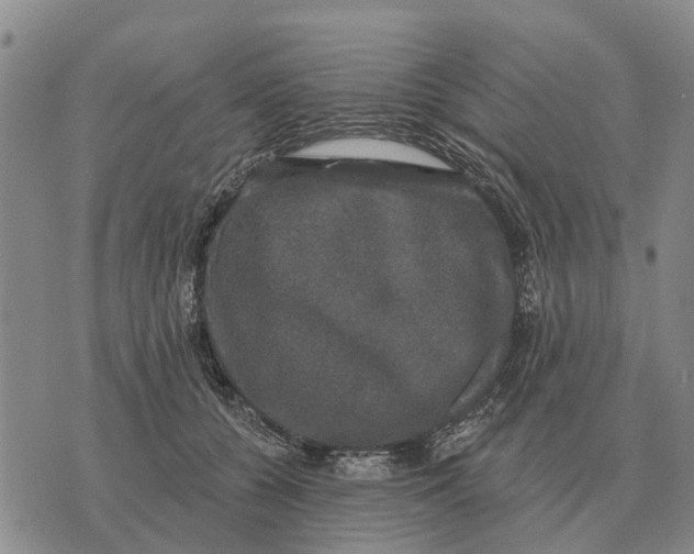 X0000072540560200608041625