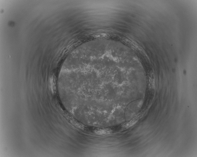 X0000072540561200608041625