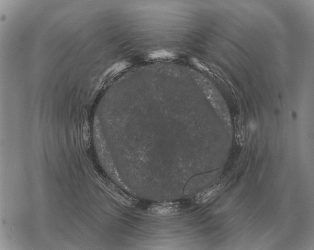 X0000072540563200608041625