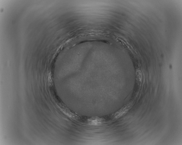 X0000072540564200608041625