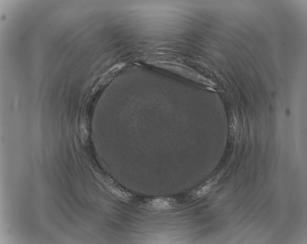 X0000072540566200608041625