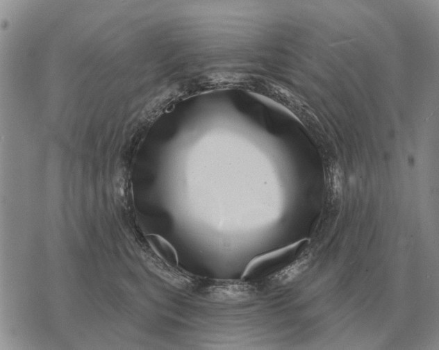 X0000072540567200608041625