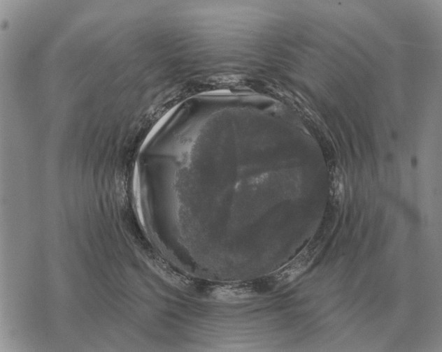 X0000072540568200608041625