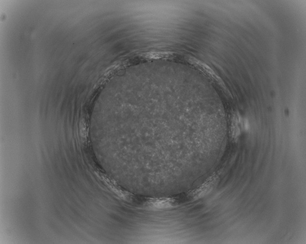 X0000072540569200608041625