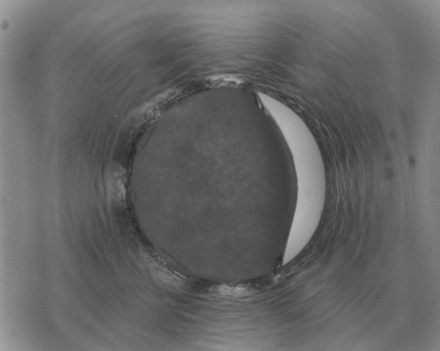 X0000072540570200608041625