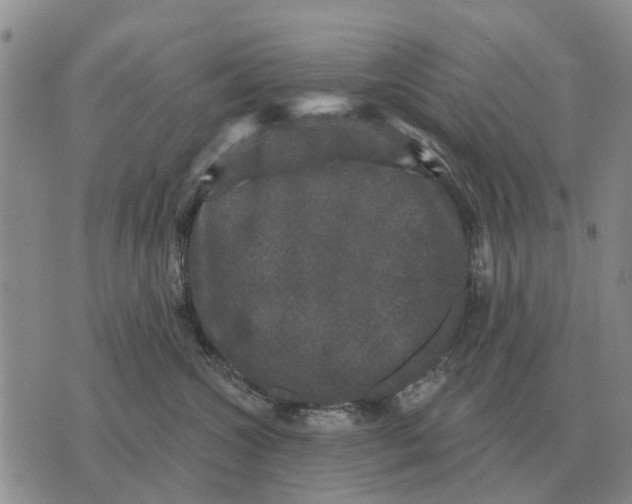 X0000072540572200608041625