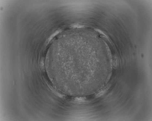 X0000072540573200608041625