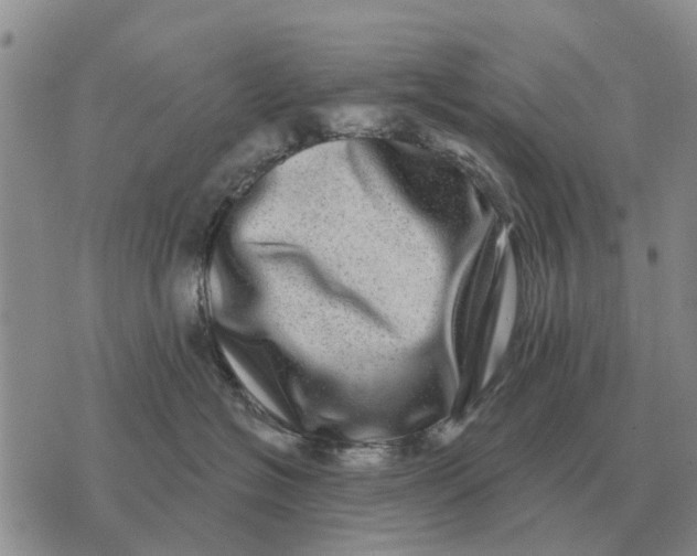 X0000072540574200608041625