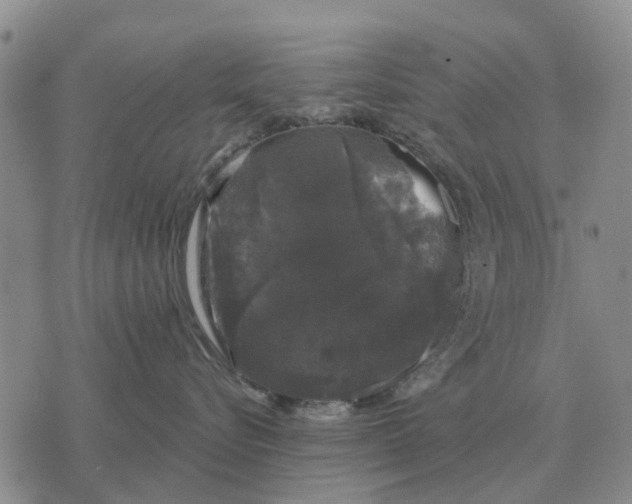 X0000072540576200608041625