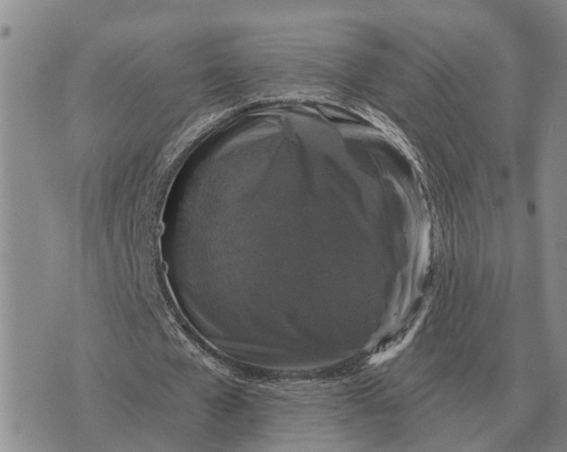 X0000072540577200608041624