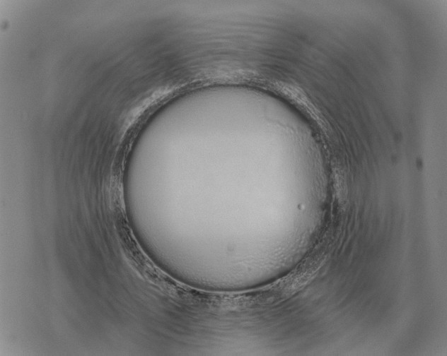 X0000072540579200608041624