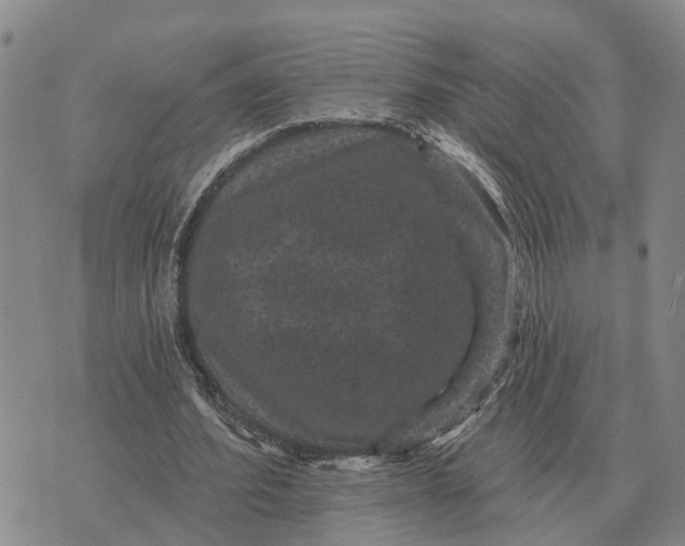 X0000072540580200608041624