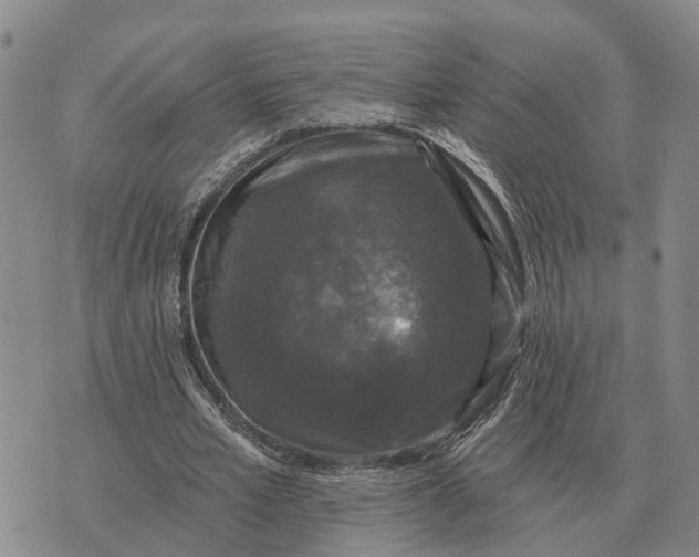 X0000072540581200608041624