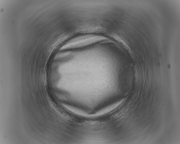 X0000072540582200608041624