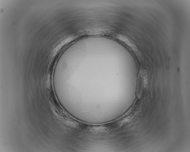 X0000072540583200608041624