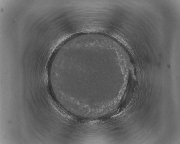 X0000072540584200608041624