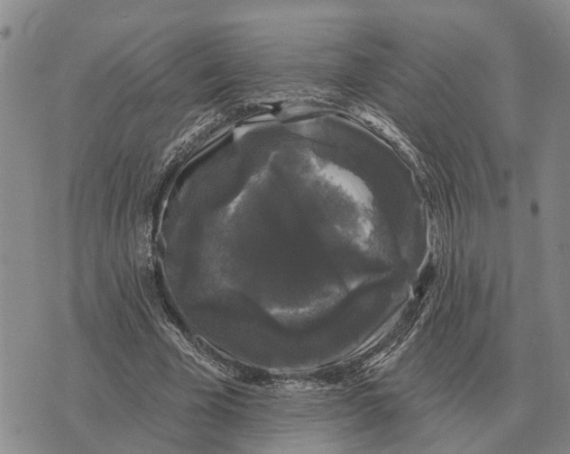 X0000072540585200608041624