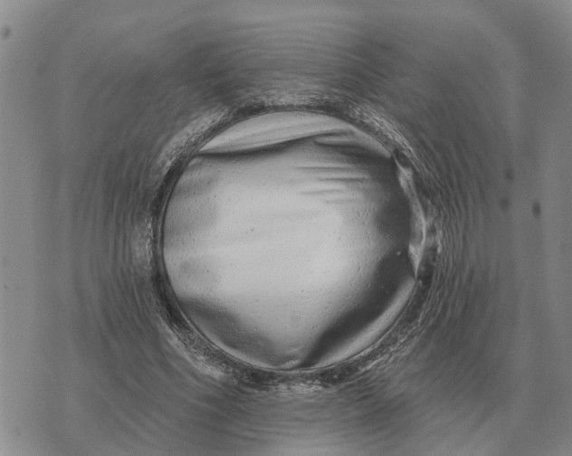 X0000072540586200608041624