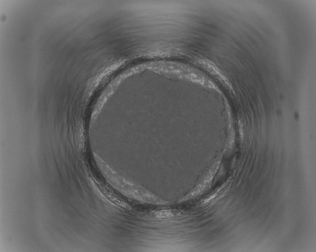 X0000072540588200608041624